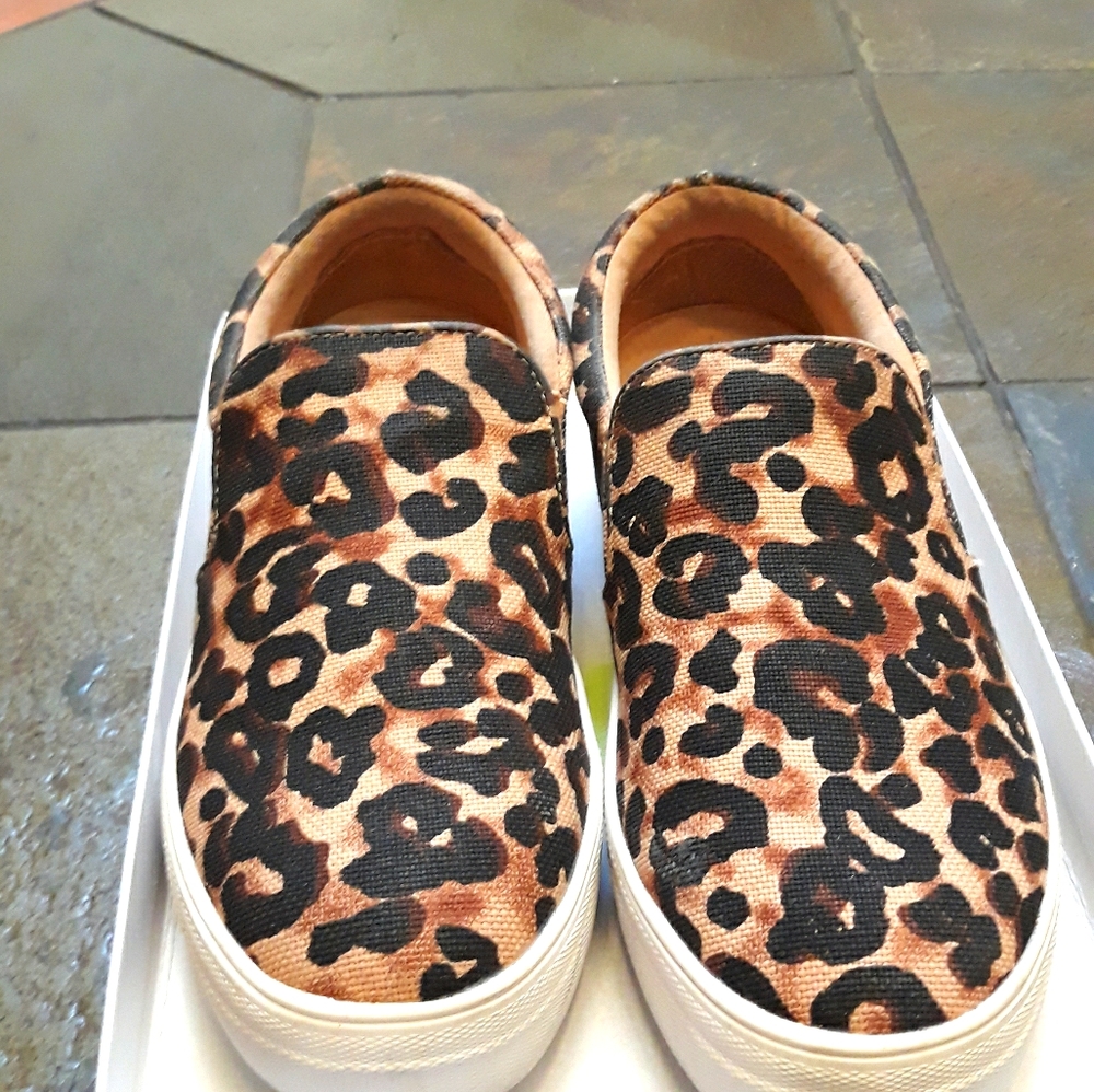 Steve Madden Gills-A-Leopard Slide on Sneakers